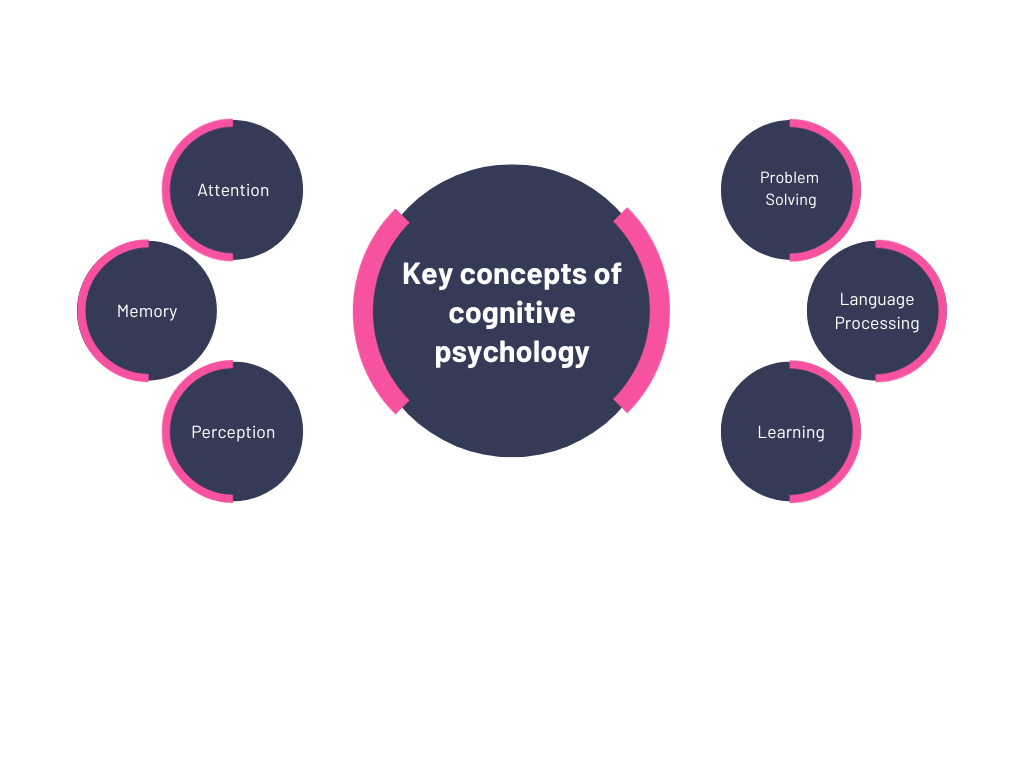 Key Concepts of cognitive psychology